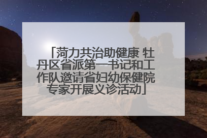 菏力共治助健康 牡丹区省派第一书记和工作队邀请省妇幼保健院专家开展义诊活动