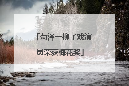 菏泽一柳子戏演员荣获梅花奖