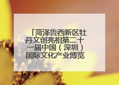 菏泽鲁西新区牡丹文创亮相第二十一届中国（深圳）国际文化产业博览交易会