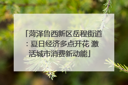 菏泽鲁西新区岳程街道：夏日经济多点开花 激活城市消费新动能