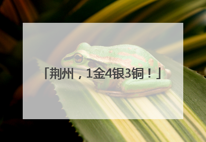 荆州，1金4银3铜！