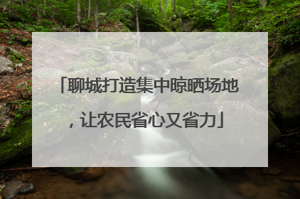 聊城打造集中晾晒场地，让农民省心又省力