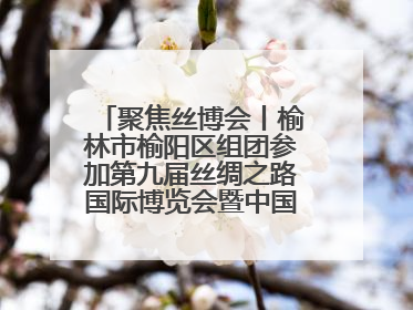 聚焦丝博会丨榆林市榆阳区组团参加第九届丝绸之路国际博览会暨中国东西部合作与投资贸易洽谈会