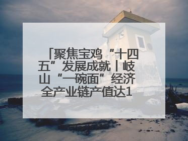 聚焦宝鸡“十四五”发展成就丨岐山“一碗面”经济全产业链产值达162亿元 入选全国典型县