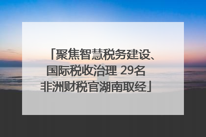 聚焦智慧税务建设、国际税收治理 29名非洲财税官湖南取经