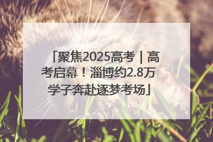 聚焦2025高考｜高考启幕！淄博约2.8万学子奔赴逐梦考场