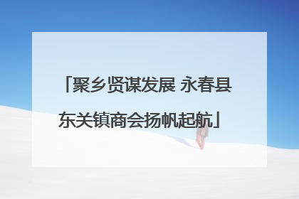 聚乡贤谋发展 永春县东关镇商会扬帆起航
