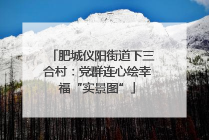 肥城仪阳街道下三合村：党群连心绘幸福“实景图”