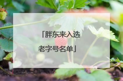 胖东来入选老字号名单