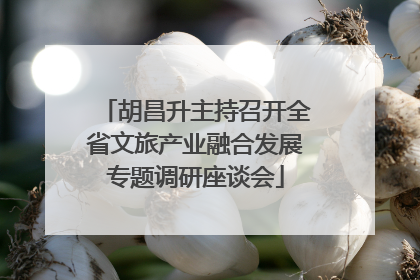 胡昌升主持召开全省文旅产业融合发展专题调研座谈会