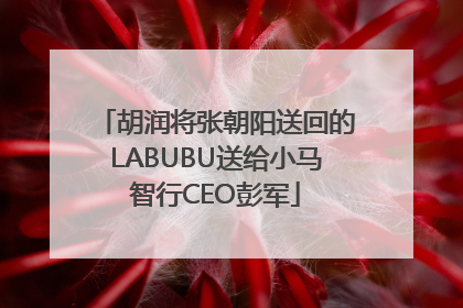 胡润将张朝阳送回的LABUBU送给小马智行CEO彭军