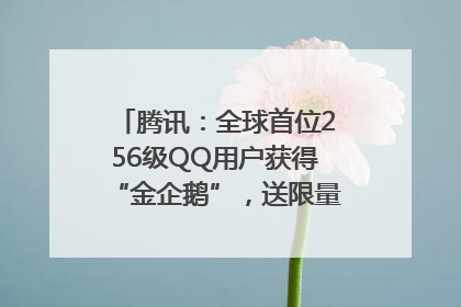 腾讯：全球首位256级QQ用户获得“金企鹅”，送限量版神秘惊喜等礼物