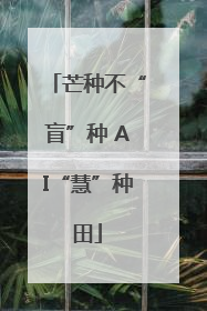 芒种不“盲”种 AI“慧”种田