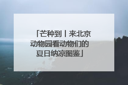 芒种到丨来北京动物园看动物们的夏日纳凉图鉴