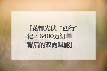 花都光伏“西行”记：6400万订单背后的双向赋能