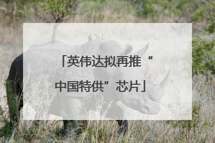 英伟达拟再推“中国特供”芯片