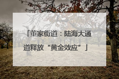 董家街道：陆海大通道释放“黄金效应”
