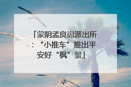 蒙阴孟良崮派出所：“小推车”推出平安好“枫”景