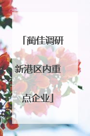 蔺佳调研新港区内重点企业
