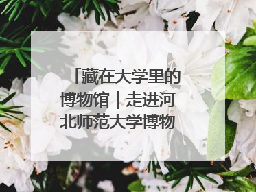 藏在大学里的博物馆｜走进河北师范大学博物馆天地科学馆：在校园里赴一场“宇宙之约”