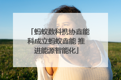 蚂蚁数科携协鑫能科成立蚂蚁鑫能 推进能源智能化
