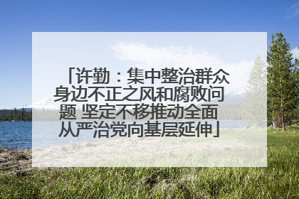 许勤：集中整治群众身边不正之风和腐败问题 坚定不移推动全面从严治党向基层延伸