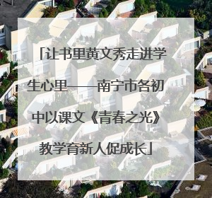 让书里黄文秀走进学生心里——南宁市各初中以课文《青春之光》教学育新人促成长