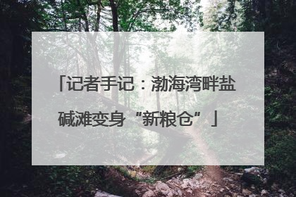 记者手记：渤海湾畔盐碱滩变身“新粮仓”