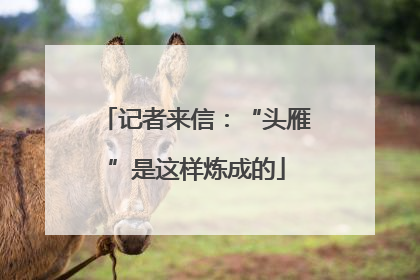 记者来信：“头雁”是这样炼成的