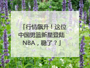 行情飙升！这位中国男篮新星登陆NBA，稳了？
