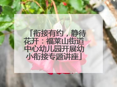 衔接有约，静待花开：福莱山街道中心幼儿园开展幼小衔接专题讲座