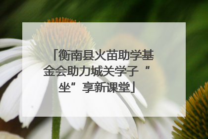衡南县火苗助学基金会助力城关学子“坐”享新课堂