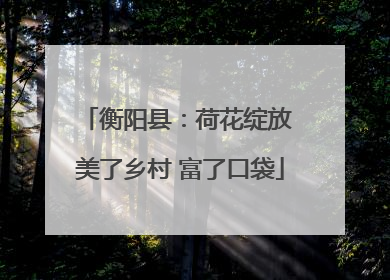 衡阳县：荷花绽放 美了乡村 富了口袋