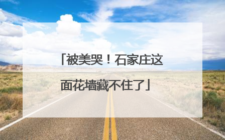 被美哭！石家庄这面花墙藏不住了