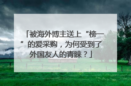 被海外博主送上“榜一”的爱采购，为何受到了外国友人的青睐？