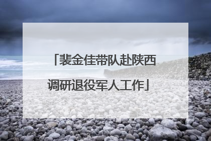 裴金佳带队赴陕西调研退役军人工作
