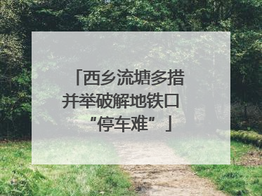 西乡流塘多措并举破解地铁口“停车难”