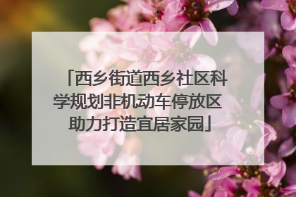西乡街道西乡社区科学规划非机动车停放区 助力打造宜居家园