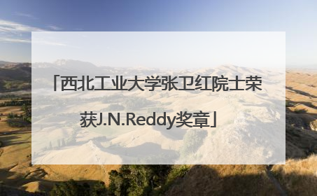 西北工业大学张卫红院士荣获J.N.Reddy奖章