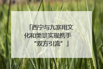 西宁与九寨用文化和美景实现携手“双方引流”