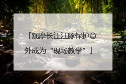 观摩长江江豚保护意外成为“现场教学”