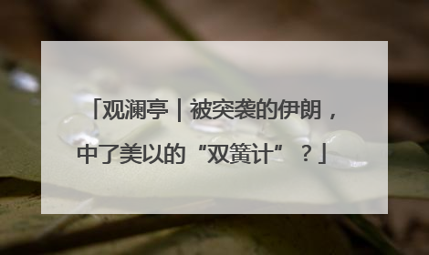 观澜亭｜被突袭的伊朗，中了美以的“双簧计”？