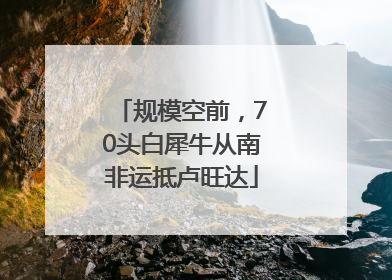 规模空前，70头白犀牛从南非运抵卢旺达