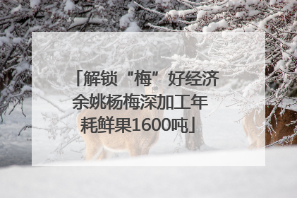 解锁“梅”好经济 余姚杨梅深加工年耗鲜果1600吨