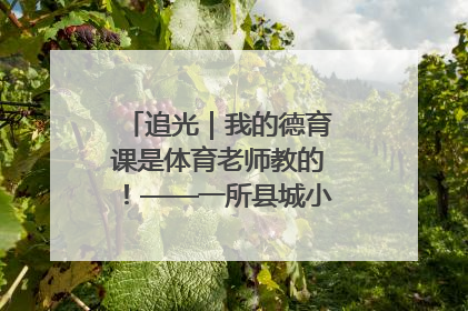 追光｜我的德育课是体育老师教的！——一所县城小学的思政课改革
