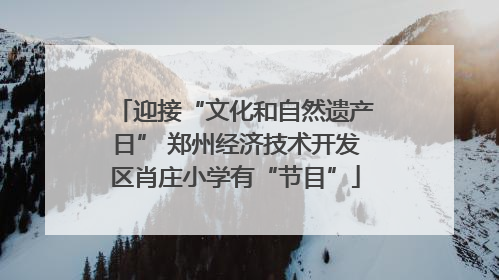 迎接“文化和自然遗产日” 郑州经济技术开发区肖庄小学有“节目”