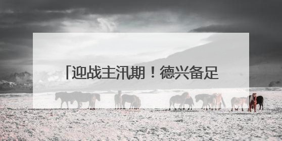 迎战主汛期！德兴备足“安全家底”（图）