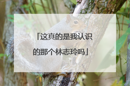 这真的是我认识的那个林志玲吗