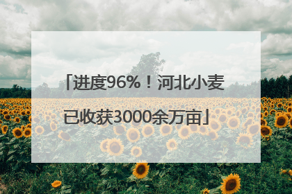 进度96%！河北小麦已收获3000余万亩