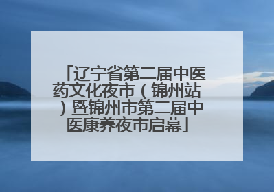 辽宁省第二届中医药文化夜市（锦州站）暨锦州市第二届中医康养夜市启幕